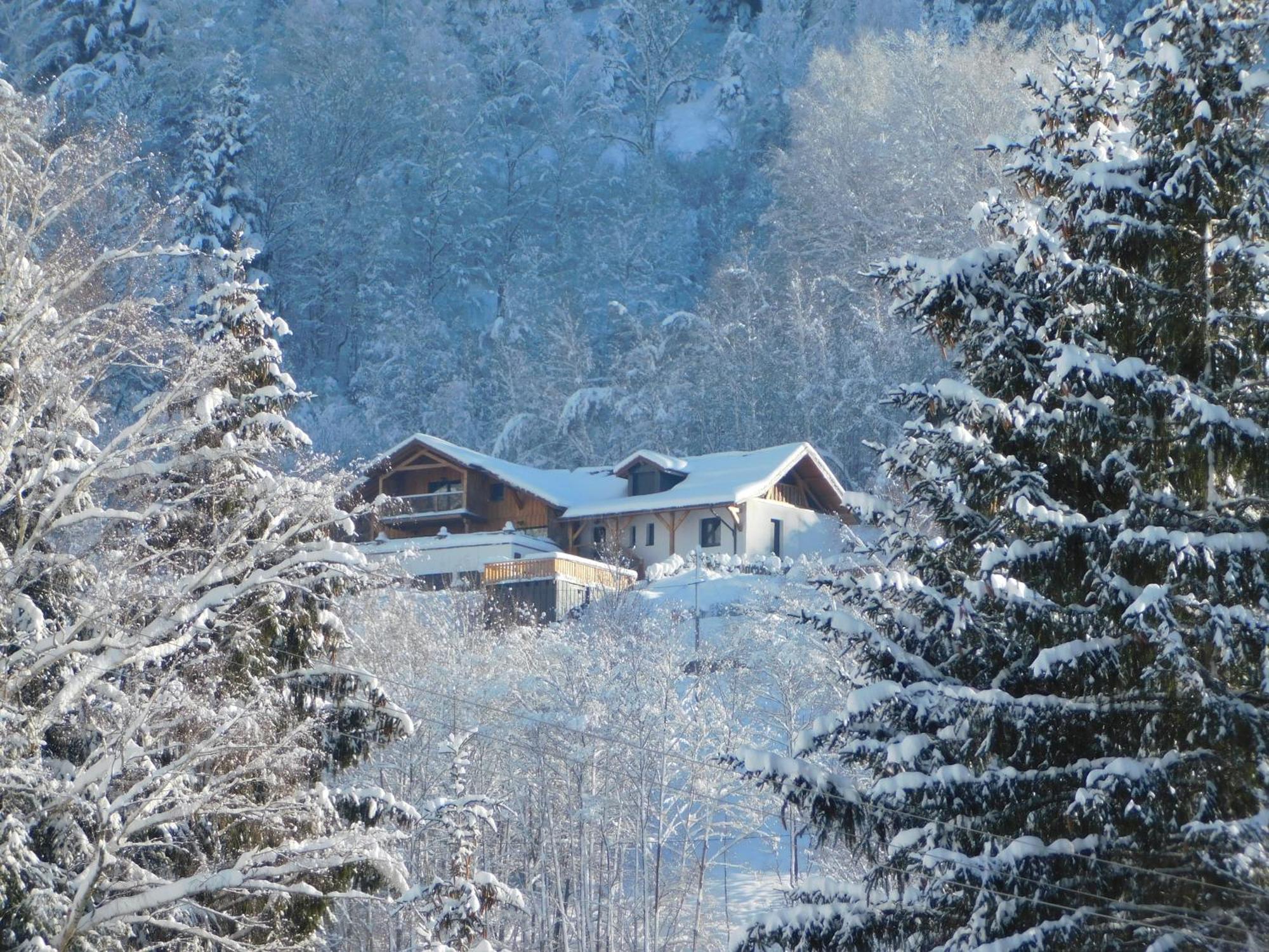 Chalet Le Lodge ヴォントロン エクステリア 写真
